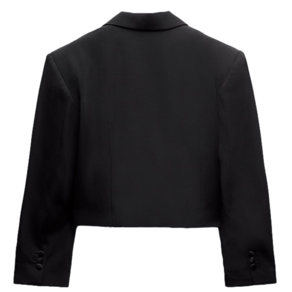 NWT Cropped Satin Effect Blazer - sold out style - Sz XS - staple - 2023 trend - Picture 3 of 8